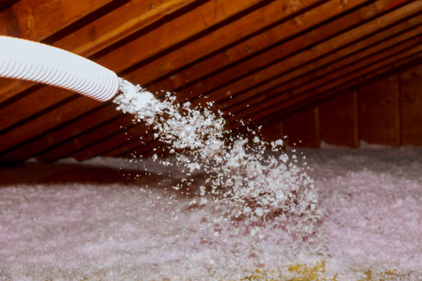 Best Insulation Air Sealing  in Reisterstown, MD